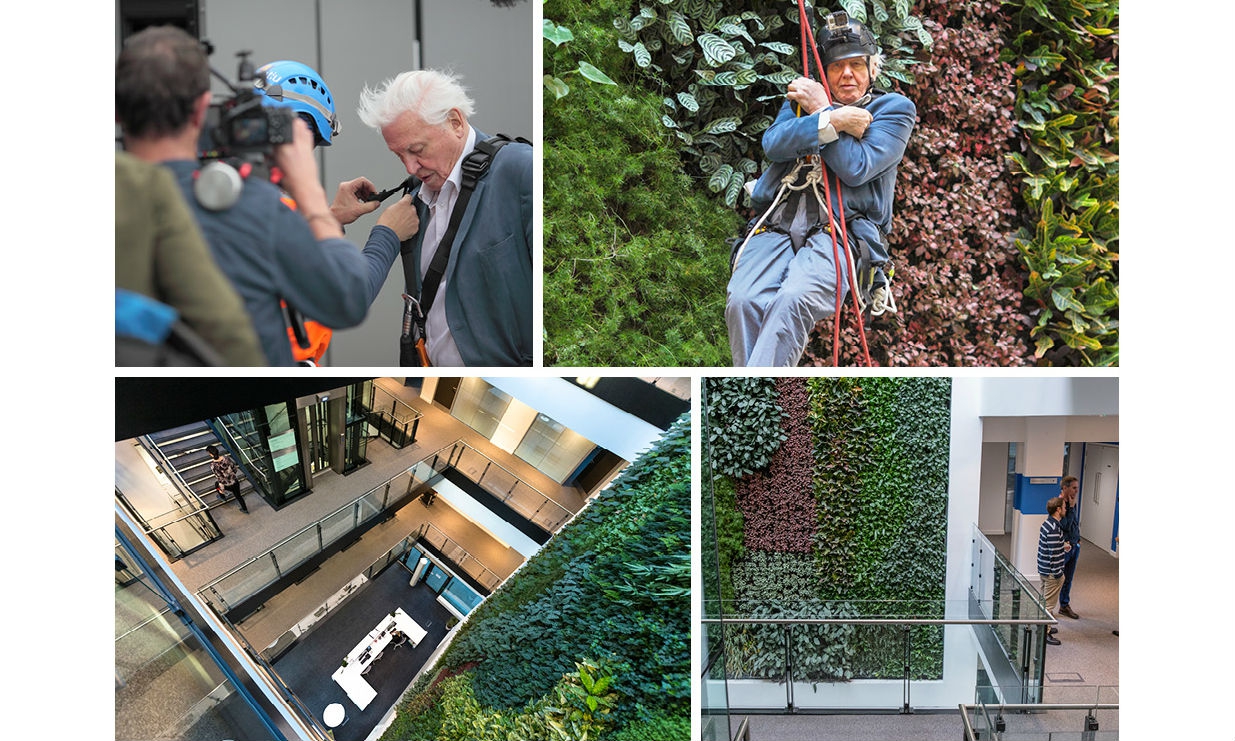 ANS living wall brings nature to the newly launched building at University of Cambridge