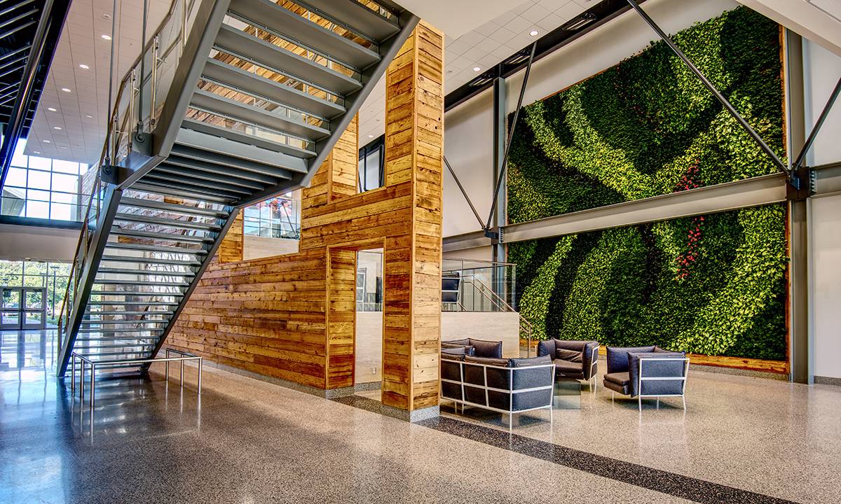 The future of the living green wall