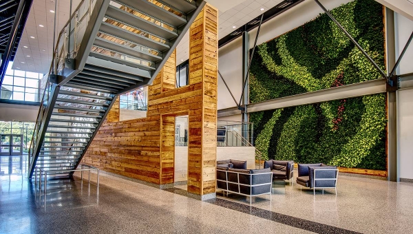 The future of the living green wall