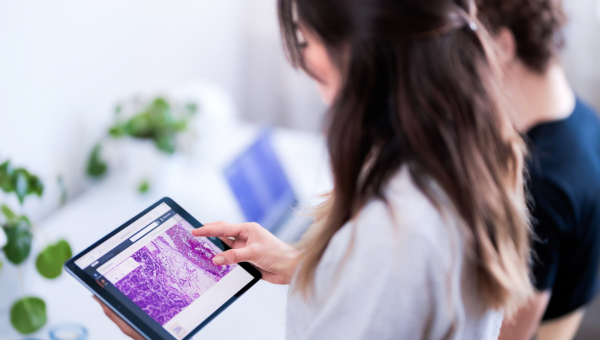 4 university colleges in Denmark join forces to enhance on-site and remote education for radiographers with Sectra Education Portal